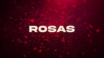 Angel Montoya - Rosas (LETRA)