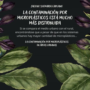 -Jacobo Shemaria Capuano- Conocer el impacto de la urbanización sobre los diferentes usos del suelo: (Parte 2) (Creado por @JacoboShemariaCapuano)