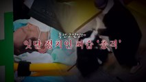 [영상] 이재명 이어 배현진 피습...충격 휩싸인 여의도  / YTN