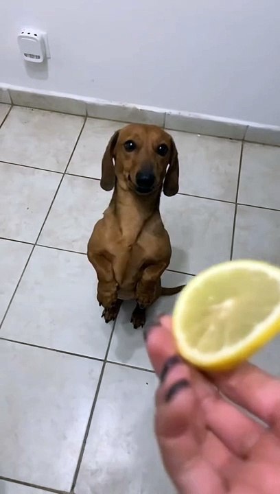 Instant regret
