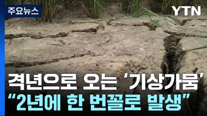 2년에 한 번꼴로 나타난 '기상 가뭄'..."기후변화 영향" / YTN