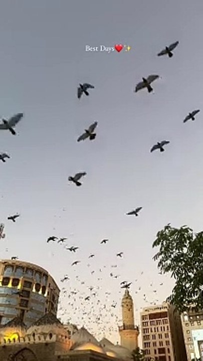magnificent.islamabad.