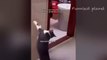 Funny Dogs And Cats Videos 2024 -- - Best Funniest Animal Videos Of The week _6(720P_60FPS)