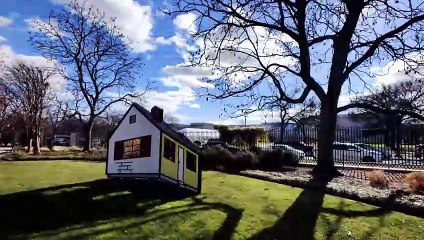 Washington DC Statues