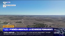 Deux ans de sécheresse, même en hiver: les Pyrénées-Orientales complètement asséchées