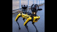 Security Robot Trial at Centrair Japan
