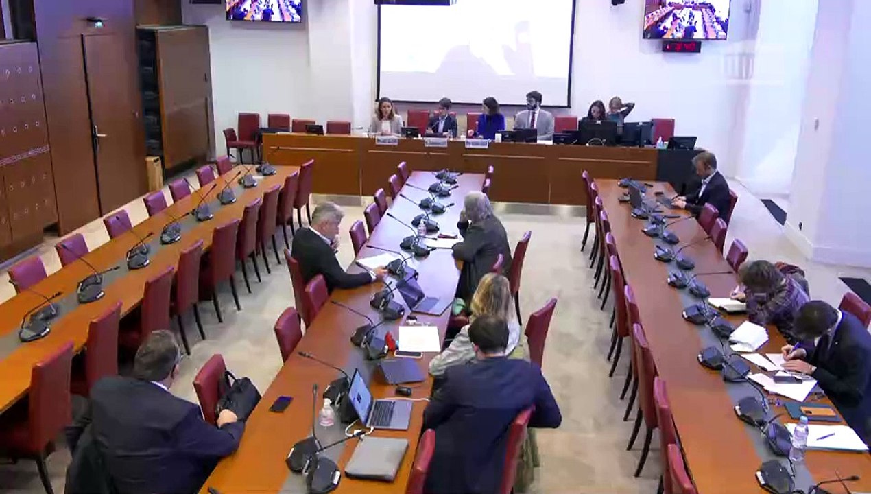 Commission des affaires culturelles : États gén...