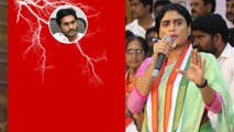 CM Jaganకి రోజుకో షాక్ ఇస్తున్న Sharmila ఆందోళన లో Ysrcp వర్గం | Telugu Oneindia