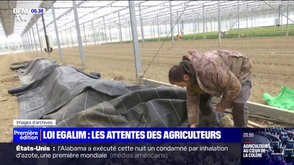 Télécharger la video: Pourquoi la loi Egalim, qui doit garantir une juste rémunération aux agriculteurs, ne suffit pas