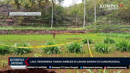 Fenomena Tanah Ambles di Lahan Sawah di Gunungkidul