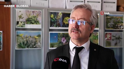 Alper Gezeravcı'nın uzaya götürdüğü bitki ‘Schrenkiella parvula' merak konusu oldu