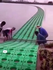 Smart Farming Innovation #shorts #shortsvideo #video #viralc  #innovationhub