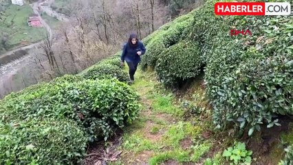 90 yaşındaki adam, 35 yıl önce kurduğu teleferikle evine ulaşıyor