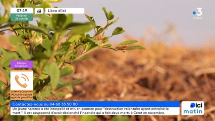 26/01/2024 - La matinale de France Bleu Roussillon