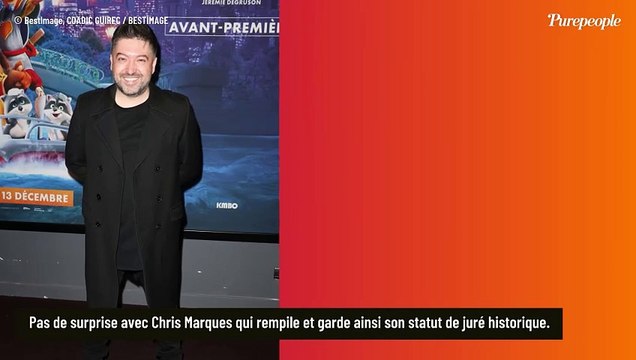 Danse avec les stars 2024 : Deux jurés emblématiques font leur retour, une petite nouvelle impressionnante les rejoint