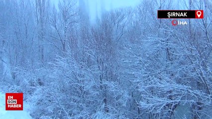 Şırnak'ta kar kalınlığı 3 metreyi aştı