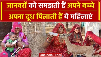 Rajasthan: क्यों Animals को बच्चों की तरह दूध पिलाती हैं Bishnoi समाज की महिलाएं | वनइंडिया हिंदी