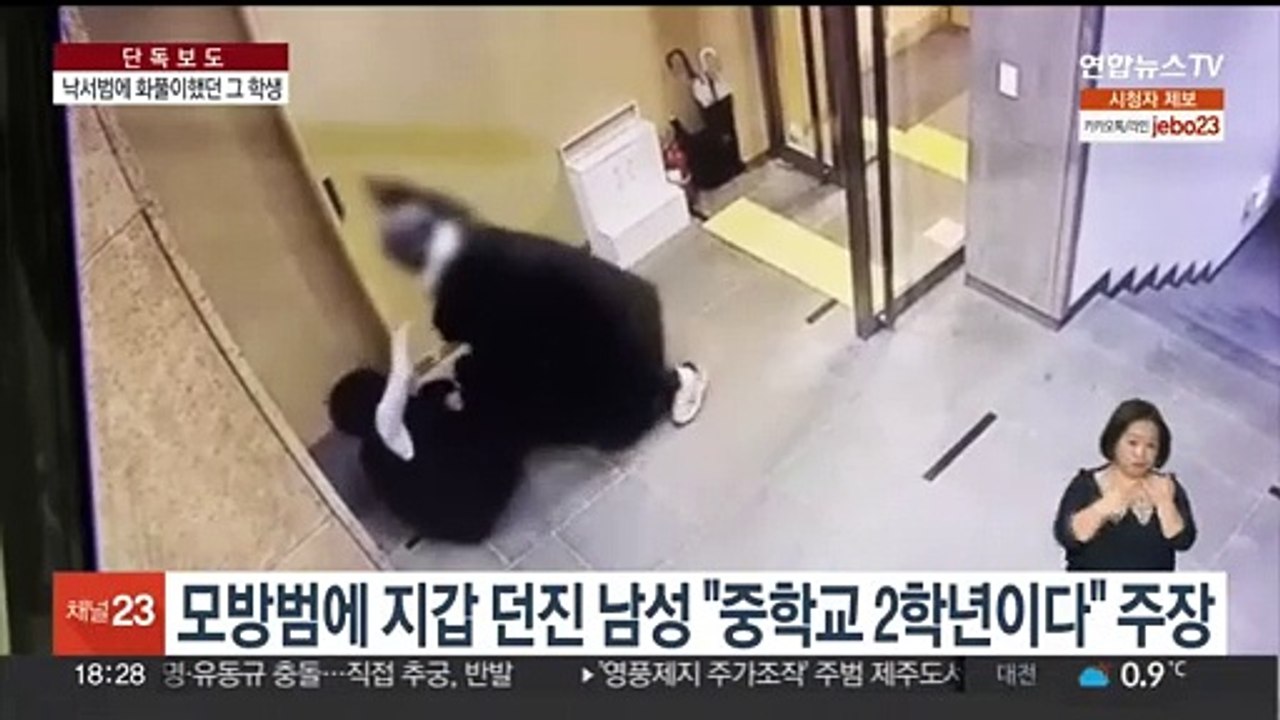 [단독] 배현진 습격범, 경복궁 낙서 모방범에 지갑 던진 학생