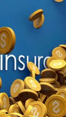 Insurance Wrap-Up Summarizing Our Insurance Series