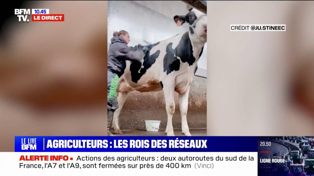 Ces agriculteurs partagent leur quotidien sur les réseaux sociaux