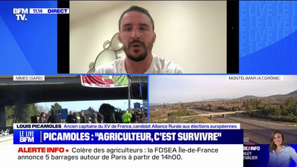 Louis Picamoles, ancien capitaine du XV de France devenu éleveur de chèvres, a pris la décision "d'arrêter le projet pour des raisons économiques"