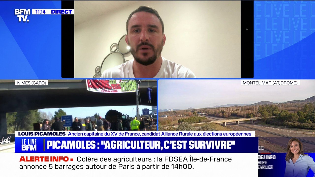 Louis Picamoles, ancien capitaine du XV de France devenu éleveur de chèvres, a pris la décision "d'arrêter le projet pour des raisons économiques"