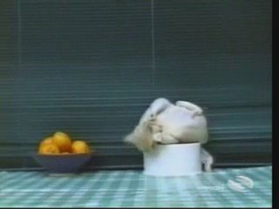 Compilation-de-chats