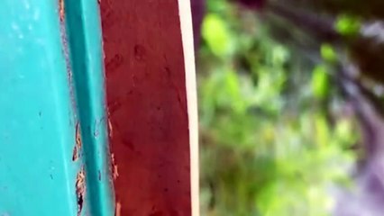 Wooden Nail Slingshot With New Trigger Mechanism