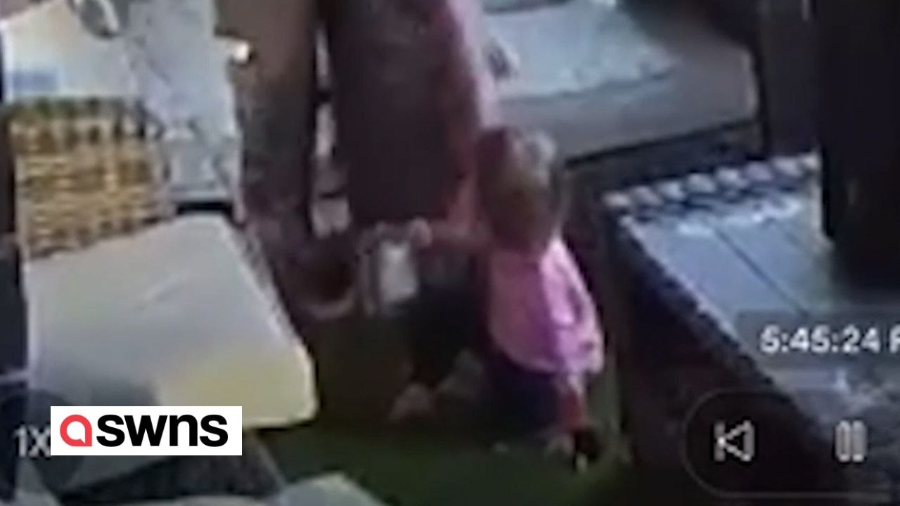 Schnell denkender vater rettet tochter aus riesiger tarantel