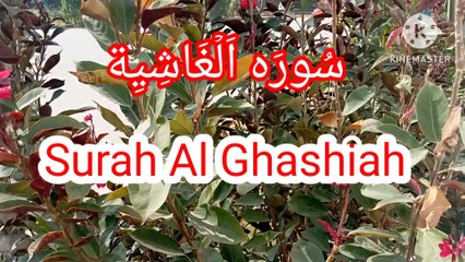 Surah Al Ghashiyah | Tilawat Surah Al Ghashiyah |Learn Quran
