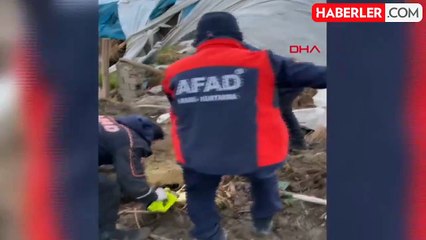 Batman'da yağış nedeniyle çöken ahırın altında kalan 8 yavru köpekten 5'i kurtarıldı