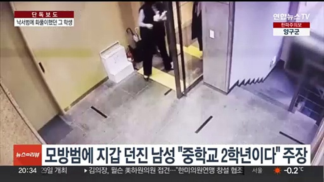 [단독] 배현진 습격범, 경복궁 낙서 모방범에 지갑 던진 학생