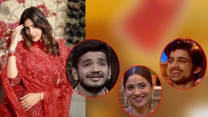 Bigg Boss 17 Update: Munawar को छोड़कर Anjlai Arora ने BB 17 के किस Contestant को किया Support ?