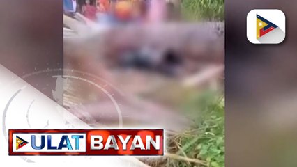 Dalawang binatilyo sa Cebu, patay matapos mabagsakan ng troso