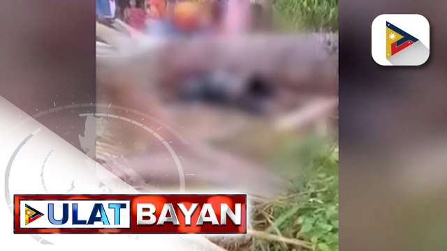Dalawang binatilyo sa Cebu, patay matapos mabagsakan ng troso