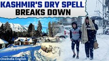 Kashmir Valley's Winter Miracle: Breaking the Longest Dry Spell with Fresh Snowfall | Oneindia News