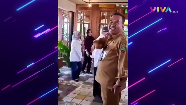 Paspampres Kecolongan, Jokowi Syok Disosor Kakek-kakek