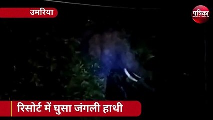 Video : रिसोर्ट में घुसा हाथी, मैनेजर को उठाकर पटका