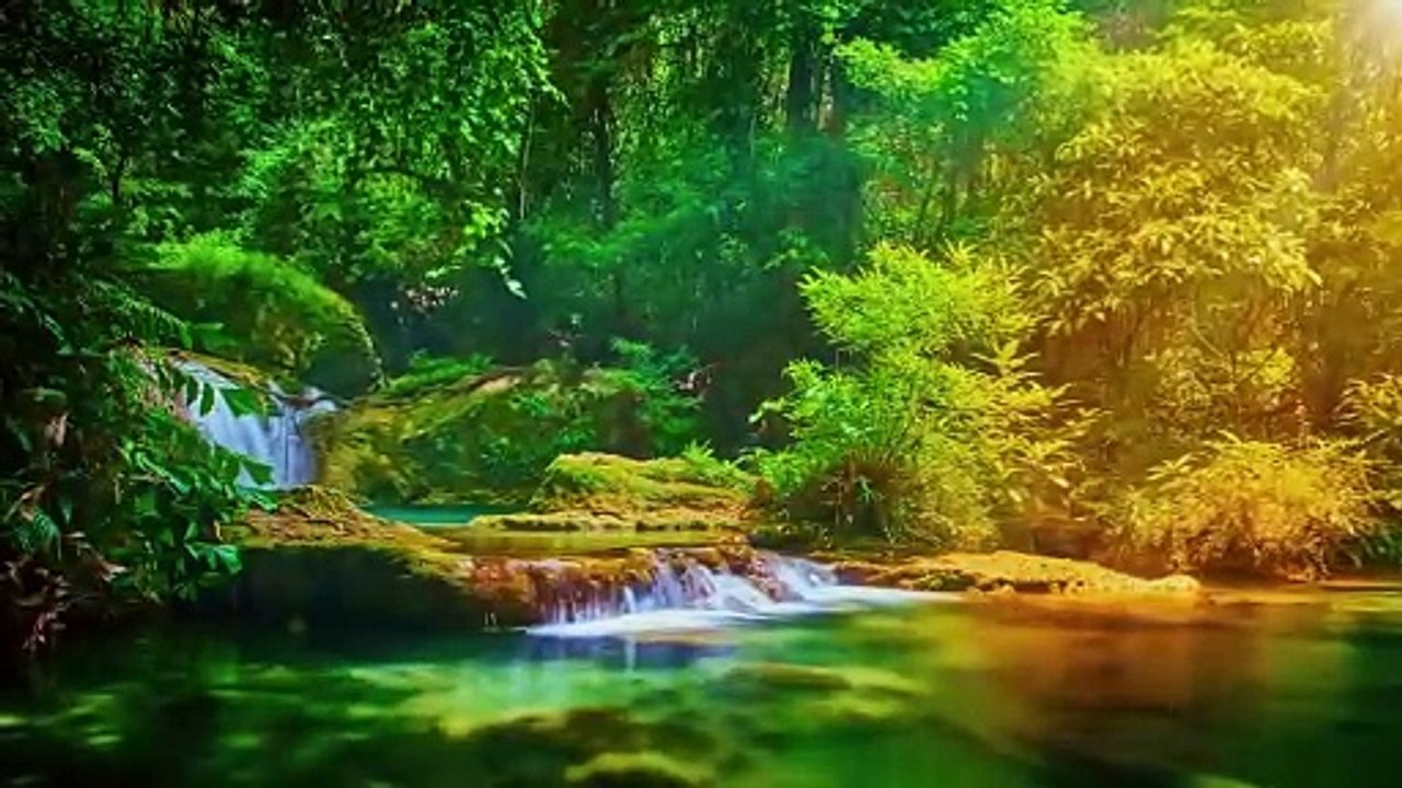 relaxing video with nature