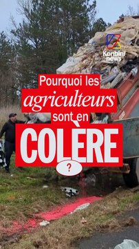 Autoroutes bloquées, péages occupés, manifestations… La mobilisation des agriculteurs s'intensifie partout en France, mais pourquoi