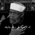 اجمل ما قال الشيخ محمد الشعراوي عن الصلاة أمام الامه حالات واتس اب
