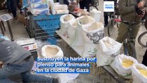 Cada vez más hambre y menos alimentos en la Franja de Gaza