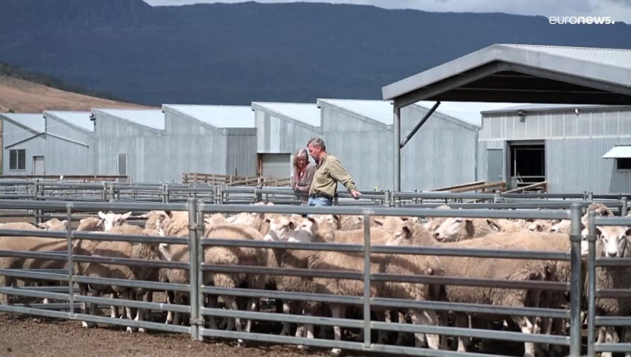 فيديو: تركيب ألواح شمسية في واحدة من أقدم مزارع الأغنام في أستراليا