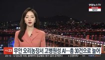 무안 오리농장서 고병원성 AI…총 30건으로 늘어