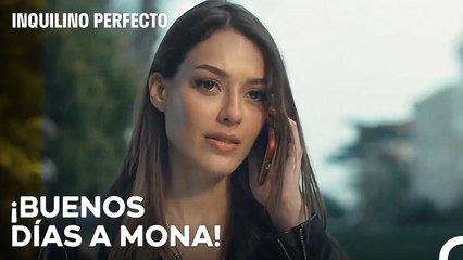 Caos, Confusión Y Ansiedad - Inquilino Perfecto