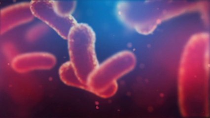 Malattie infettive, la ricerca accelera