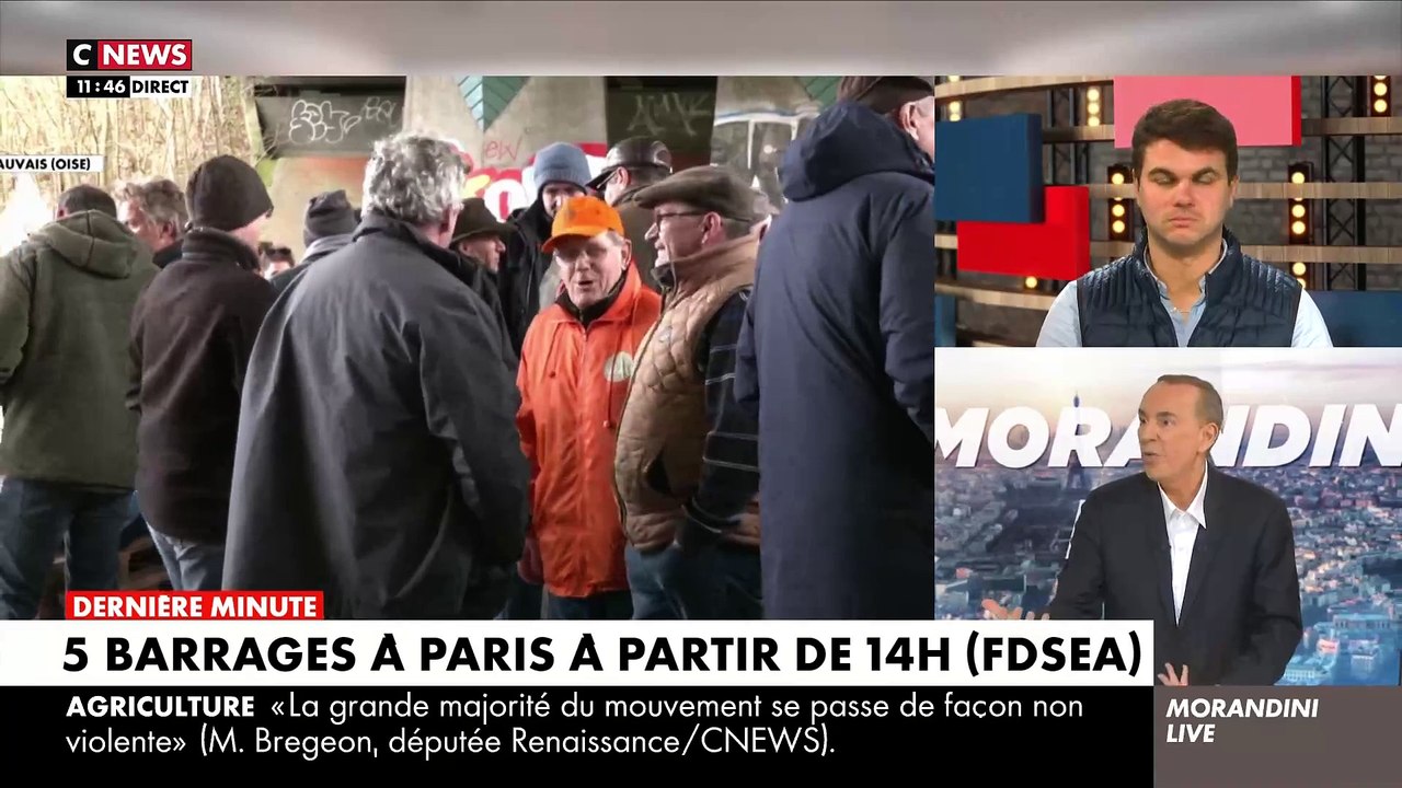 Crise des agriculteurs : Regardez le témoignage touchant de Clément, 30 ans, Bac + 5, éleveur de vaches laitières, qui raconte dans "Morandini Live" ses semaines de plus de 60h pour moins de 1.000 euros