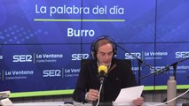 BURRO | La palabra del día de Isaías Lafuente