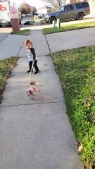 Logan is walking Eevee on a windy day