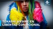 Tekashi 6ix9ine obtiene libertad condicional tras presunta violencia contra Yailin La Más Viral